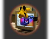 Linux Rocks