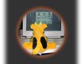 I Do Windows